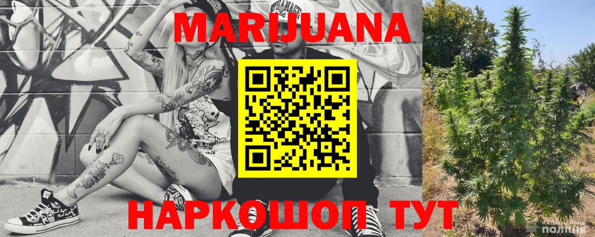 Шишки марихуана OG Kush  Марихуана планчик  Вход с VPN  Новый Уренгой  Канабис план  Каннабис семена 